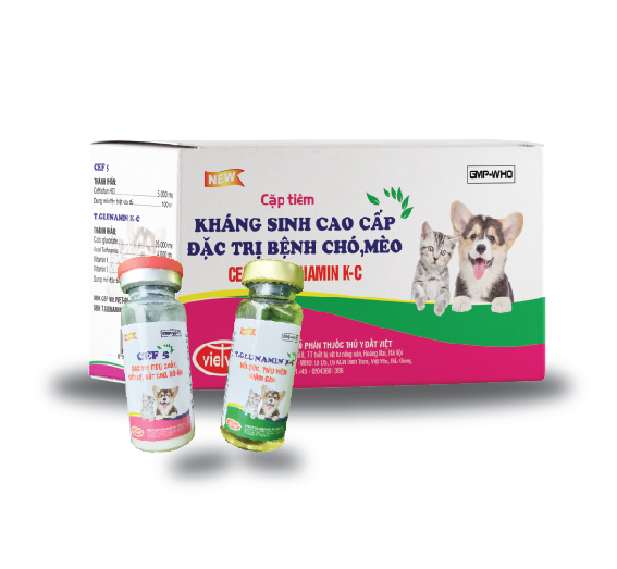 Cặp kháng sinh chó mèo cao cấp CEF 5+GLUNAMIN K-C